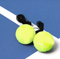 Ensemble de raquettes de tennis personnalisées de haute qualité avec logo, vente en gros, entraînement sportif, matériau en caoutchouc, OEM personnalisable, type de divertissement