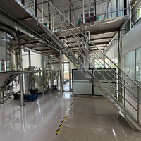 Complete 5-300TPH palmolieverwerkingsmachine, productielijn voor ruwe palmvruchtenolie, installatie voor het raffineren van palmpit-olie
