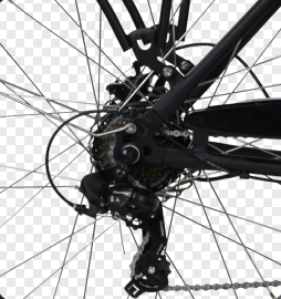 2025 néerlandais 250W vélo <span class=keywords><strong>cargo</strong></span> électrique avec moteur de moyeu arrière 36V/13Ah batterie au Lithium frein à disque couleur noire pour livraison Express - Product Image 4