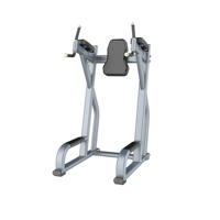 Équipement De Fitness De gymnastique Vertical, vente en gros et vente De fabricants
