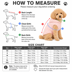 Veste de protection solaire pour chien à capuche, motif écossais arc-en-ciel, légère et respirante, pour chiots de petite et moyenne taille, pour les promenades quotidiennes en extérieur - Product Image 2