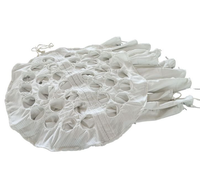 Machine de granulation par fluidisation antistatique avec filtre à mailles centrifugées et sac filtrant, séchage par évaporation, multi-pieds PLC
