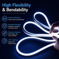 Bande néon LED en silicone ignifuge UL94 V-0, découpable à tout point, IP67, flexible, pour éclairage paysager extérieur