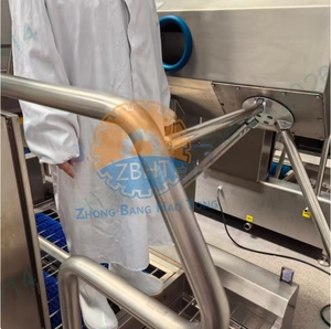 Machine de nettoyage <span class=keywords><strong>automatique</strong></span> de chaussures électrique, équipement de lavage de bottes et de désinfection des mains pour abattoirs, restaurants, usines agroalimentaires - Product Image 3