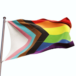 Drapeau de la fierté LGBTQ en polyester personnalisé 3x5 pieds pour l'extérieur, bannière de soutien à la communauté LGBTQ avec arc-en-ciel, vente en gros - Product Image 1