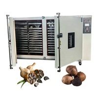 Mesin Fermentasi Bawang Hitam Tahan Lama / Mesin Bawang Hitam / Dehidrator Bawang Hitam