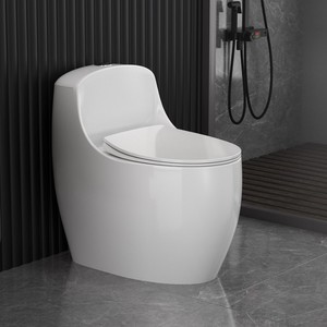 WC Monoblocco di Design a Prezzo Vantaggioso, <span class=keywords><strong>Set</strong></span> Bagno in Ceramica con Cassetta Nascosta, Modelli WC Monoblocco - Product Image 1