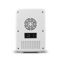 Petit réfrigérateur personnalisé, 10l, pour soins cosmétiques, pour maquillage, beauté de la peau, avec lumière LED, miroir, 12v