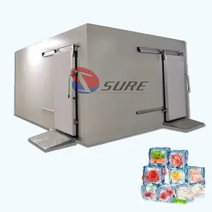 Automatic Cold Storage Room Cool Freezing Refrigeration Freeze Cold Room