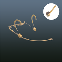 Microphone unidirectionnel professionnel beige de haute qualité pour performance scénique audio