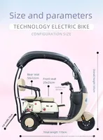 Tricycle électrique 3 places avec auvent pare-soleil, démarrage à distance, antivol, scooter familial, batterie au plomb 60V 72V double usage