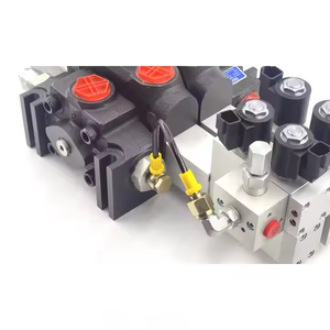 Válvula de Control Electrohidráulica DCV200 |   Fabricante Profesional, Servicio OEM y ODM, Suministro Global - Product Image 6