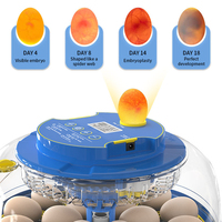 Mini incubateur d'œufs entièrement automatique avec retournement automatique des œufs et contrôle intelligent de la température pour œufs de poulet, de caille et de volaille