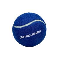 2025 Vente chaude produit personnalisé logo personnalisé balle de padel balle de tennis noire