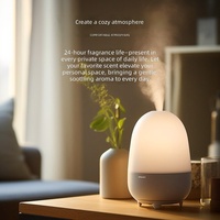 Diffuseur d'arômes sans flamme à huile essentielle hydrosoluble, humidificateur spécial, purificateur d'air écologique en bouteille pour la maison