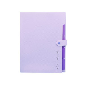Premium Morandi Serie 5 <span class=keywords><strong>Pocket</strong></span> Uitbreidende Bestandsmap Nieuwe A4/Letter Organizer Pp Accordeon Archivering Presentatieproducten - Product Image 4