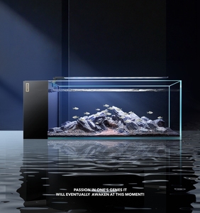 Nouvel <span class=keywords><strong>aquarium</strong></span> à filtre latéral pour salon, séparation sec-humide, réservoir en verre ultra-clair Besen Jinjing 5 lignes - Product Image 3