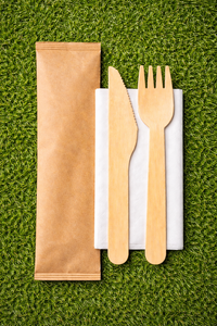 Juego Ecológico y Biodegradable de Madera de Magnolia Conifera 3 en 1 (Tenedor, Cuchillo, Servilleta de Papel) al Mejor Precio - Product Image 4