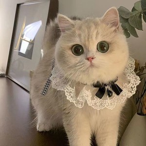 โบว์น่ารัก สายคล้องคอแมวสไตล์เจ้าหญิง พร้อมกระดิ่ง สำหรับสัตว์เลี้ยง วัสดุโพลีเอสเตอร์ ใช้ได้ทุกฤดู - Product Image 1