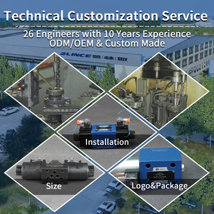 Гидравлический клапан Blince 4WE DC 12/24 В, 3-позиционный, 4-ходовой, гидравлический распределительный клапан, гидравлический электромагнитный клапан Rexroth - Product Image 5