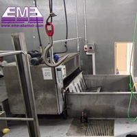 Équipement d'abattage de porcs professionnel, petit abattoir, ligne de machines d'abattage et de boucherie porcine