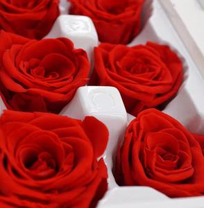 Décoration de la Saint-Valentin, vente en gros de têtes de roses de 5-6 cm, fleurs <span class=keywords><strong>éternelle</strong></span>s multicolores de qualité supérieure, fournisseur pour fleuristes - Product Image 6