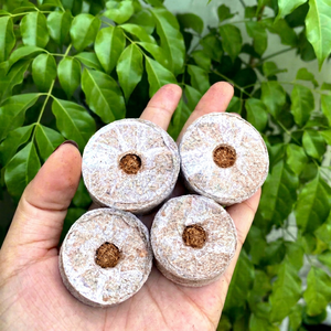 Eco2go Vietnam Granulés de coco 100% naturels à haute expansion, écologiques et biodégradables, pour semis en serre - Product Image 1