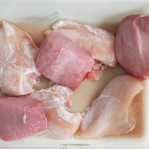 Máquina Cortadora de Tiras de Carne QW-10 para Cerdo Fresco, Pescado, Salmón, Res y Pechuga de Pollo para Negocios Comerciales - Product Image 2