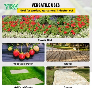 <span class=keywords><strong>Rouleau</strong></span> <span class=keywords><strong>de</strong></span> tissu anti-herbe professionnel pour couverture du sol agricole avec couleur et taille personnalisées - Product Image 5