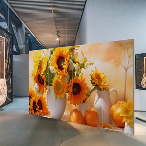 TianLang 10s Asamblea Pantalla textil plegable Pantalla de tela Libre de pie Marketing gráfico Modular Pantalla flexible portátil - Product Image 3