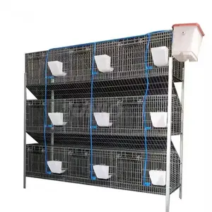 24 cell H Type Galvanized Wire Mesh Indoor Rabbit Cage/Layer Automatic Rabbit Cage Supplies