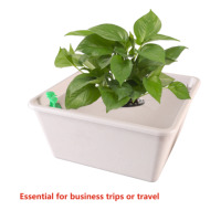 Système d'arrosage automatique pour plantes en pot, capteur d'humidité à aspiration d'eau automatique, pot de fleurs idéal pour la maison, le bureau, le jardin, la cour