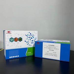 Kit de recherche ELISA pour le Cathepsine <span class=keywords><strong>G</strong></span> humaine (cath-<span class=keywords><strong>G</strong></span>) - Product Image 2