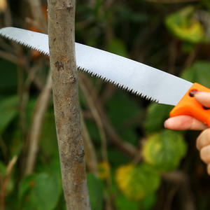 เลื่อยมือหลินยี่ ใบมีดสแตนเลส 255 มม. ด้ามจับสีส้ม เลื่อยตัดแต่งกิ่งไม้ผล เลื่อยสวน เลื่อยตรง ใช้กลางแจ้ง - Product Image 3