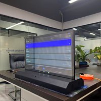 Pantalla Traductora OLED Transparente de Doble Cara de 30 Pulgadas con IA, Resolución 1366*768, Táctil de Diez Puntos, Cristal Templado Físico, OEM para Educación