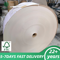 Karton Duplex 300gsm Putih Atas Abu-abu Bawah 650*850mm Lembaran Kertas Karton Duplex