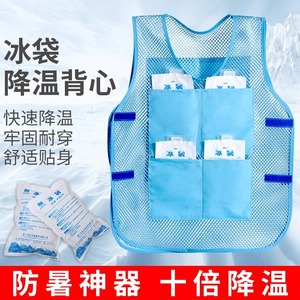 Chaleco Refrigerante de Malla con Bolsas de Hielo para Protección Exterior, Alivio de Altas Temperaturas para Hombres, Ropa de Senderismo, Diseño Separable Azul y Amarillo - Product Image 5