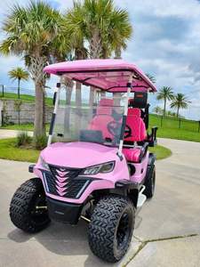 Chariot de golf de chasse de luxe au lithium 48V tout-terrain rose personnalisé chinois 4 places - Product Image 6