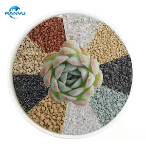 Horticultural Rainbow Stone Fleshiness Soil Paving Stone Soil mixture for cultivating