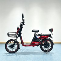 Vélo de montagne électrique de notre propre usine pour hommes et femmes, 350W 48V 12Ah, batterie amovible, freins à disque doubles, vélo électronique intelligent