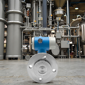 Máy phát áp suất chênh lệch 4-20mA với thiết bị đo mức mặt bích đơn và đôi từ xa - Product Image 5