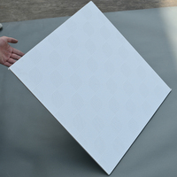 Plaques de plafond en plâtre blanc 603x603mm à haute réflectivité