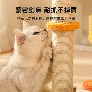 Árbol rascador para gatos con forma de calabaza, cama para gatos, poste rascador para gatos, tabla rascadora pequeña para gatos, juguete para gatos, venta al por mayor transfronteriza, en stock. - Product Image 2