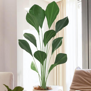 Césped <span class=keywords><strong>Artificial</strong></span> Resistente al Agua y Ecológico de Alta Calidad y Árboles Bonsái Tropicales, Decoración para el Hogar y el Jardín, Plantas de Plástico - Product Image 3