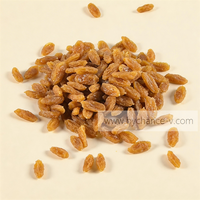 Raisin artificiel en plastique, imperméable et durable, accessoire de présentation pour la photographie culinaire, la décoration de la maison et de la cuisine, et les fournitures pédagogiques scolaires