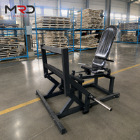 Machine à presser les mollets assise à charge libre pour la musculation des soleus et des gastrocnémies, idéale pour les salles de sport et les clubs de fitness
