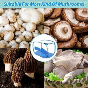 Vente en gros de <span class=keywords><strong>mini</strong></span> champignons de <span class=keywords><strong>serre</strong></span> pour kit de tente de culture boîte à air à cadre métallique pour équipement de mycologie à domicile - Product Image 5