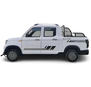 2022 new mini pickup truck model electric car Chang li Electric four-wheeler pickup truck adult truck electric car