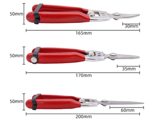 Tijeras de Podar Profesionales de Acero Inoxidable Rectas de 8' (20cm) con Mango de Agarre Suave, Herramienta Industrial Personalizable para Manzanos - Product Image 3