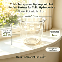 Pot de fleurs hydroponique haute transparence avec panier de plantation, vase en plastique transparent pour tulipes, jacinthes, pothos, décoration intérieure